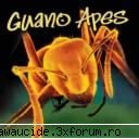 fainutza trupa.. rock
